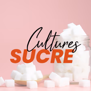 cultures-sucre-celuga